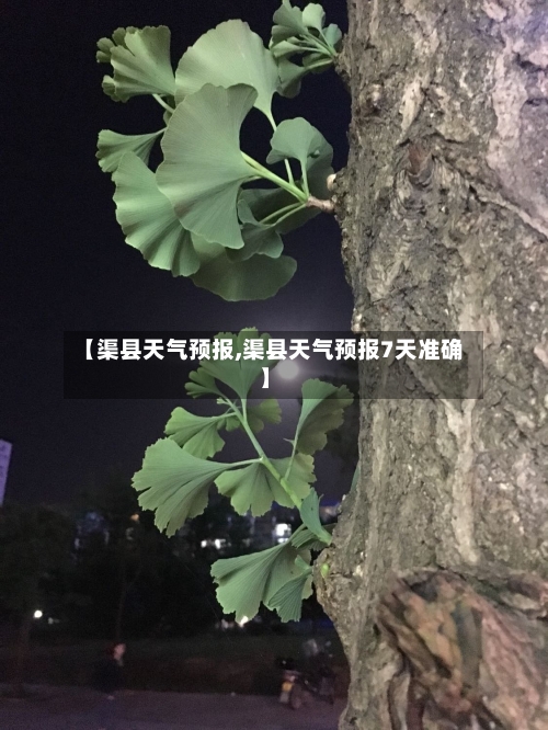 【渠县天气预报,渠县天气预报7天准确】-第1张图片