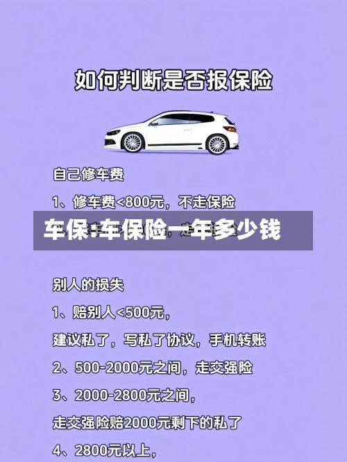 车保:车保险一年多少钱-第1张图片