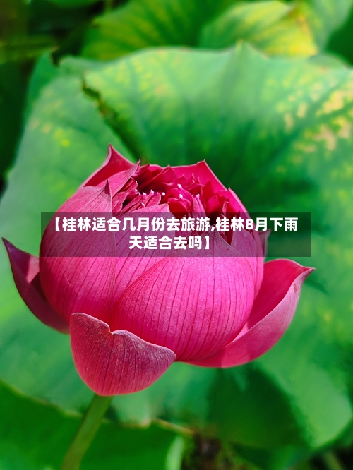 【桂林适合几月份去旅游,桂林8月下雨天适合去吗】-第1张图片