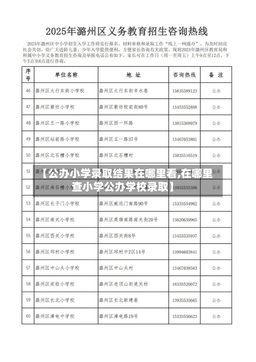 【公办小学录取结果在哪里看,在哪里查小学公办学校录取】-第1张图片