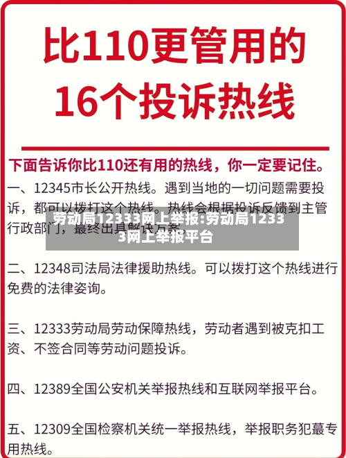 劳动局12333网上举报:劳动局12333网上举报平台-第1张图片