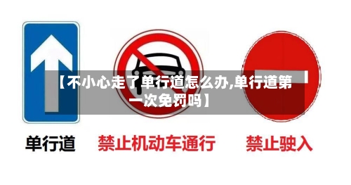 【不小心走了单行道怎么办,单行道第一次免罚吗】-第1张图片