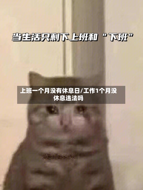 上班一个月没有休息日/工作1个月没休息违法吗-第1张图片