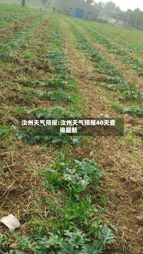 汝州天气预报:汝州天气预报40天查询最新-第1张图片