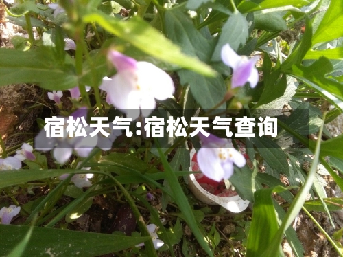 宿松天气:宿松天气查询-第1张图片