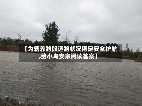 【为辖养路段道路状况稳定安全护航,给小鸟安家阅读答案】-第1张图片
