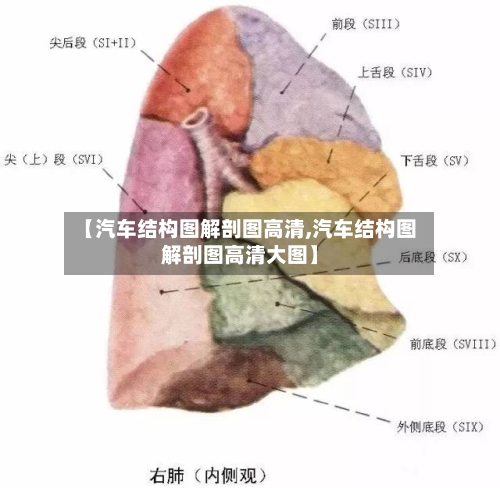 【汽车结构图解剖图高清,汽车结构图解剖图高清大图】-第1张图片