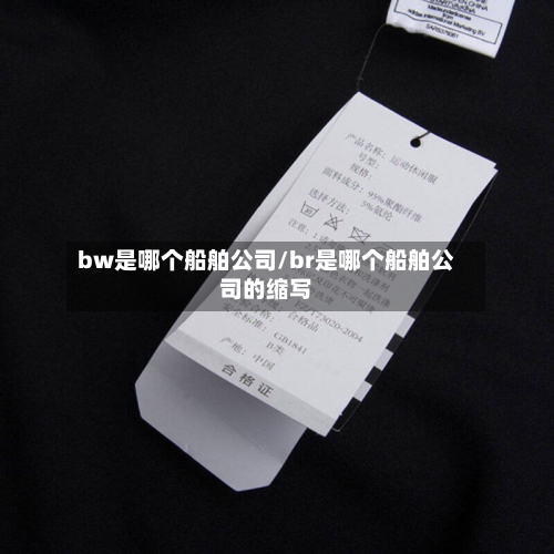 bw是哪个船舶公司/br是哪个船舶公司的缩写-第1张图片