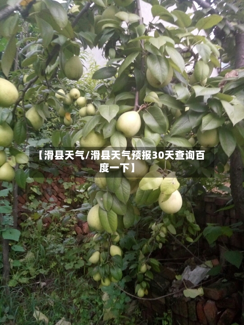 【滑县天气/滑县天气预报30天查询百度一下】-第1张图片
