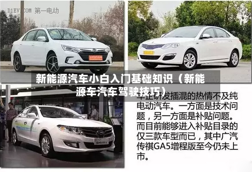 新能源汽车小白入门基础知识(新能源车汽车驾驶技巧)-第1张图片