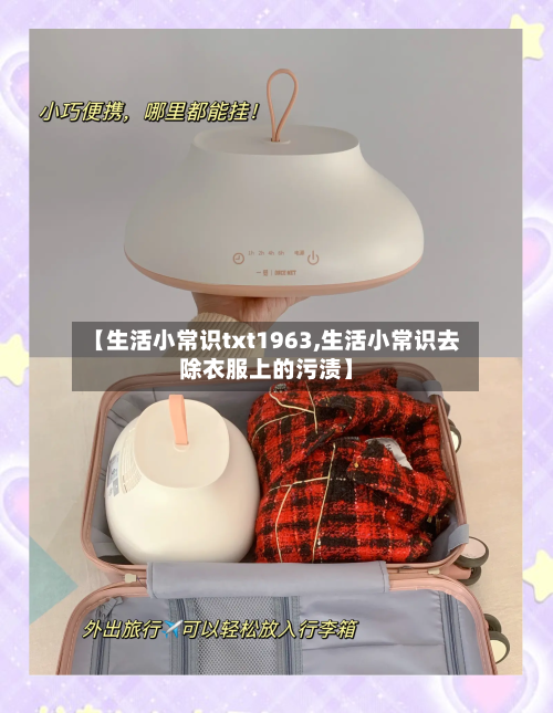 【生活小常识txt1963,生活小常识去除衣服上的污渍】-第1张图片