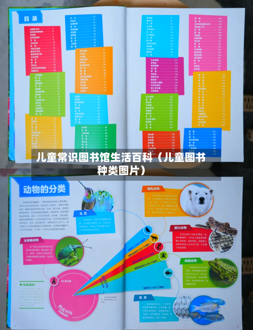 儿童常识图书馆生活百科(儿童图书种类图片)-第1张图片