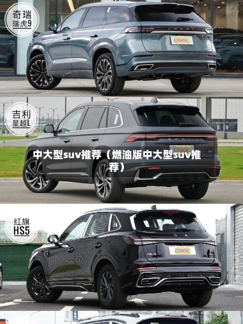 中大型suv推荐(燃油版中大型suv推荐)-第1张图片