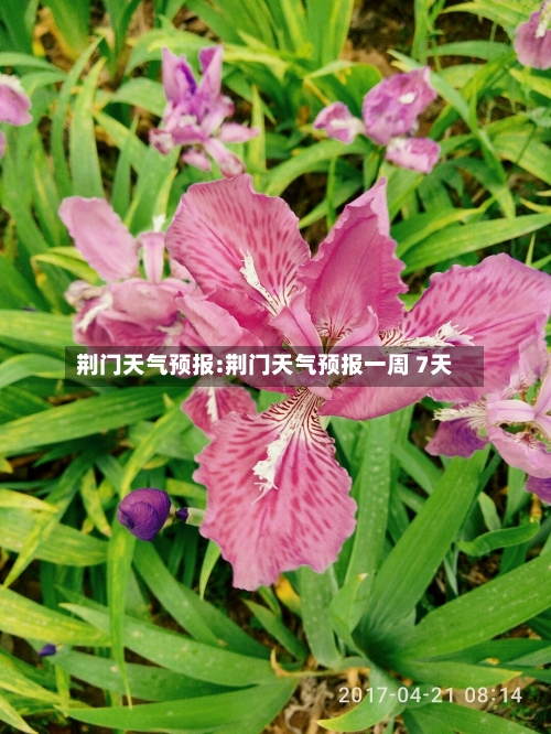 荆门天气预报:荆门天气预报一周 7天-第1张图片