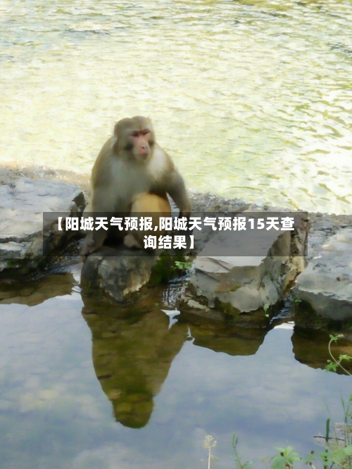 【阳城天气预报,阳城天气预报15天查询结果】-第1张图片