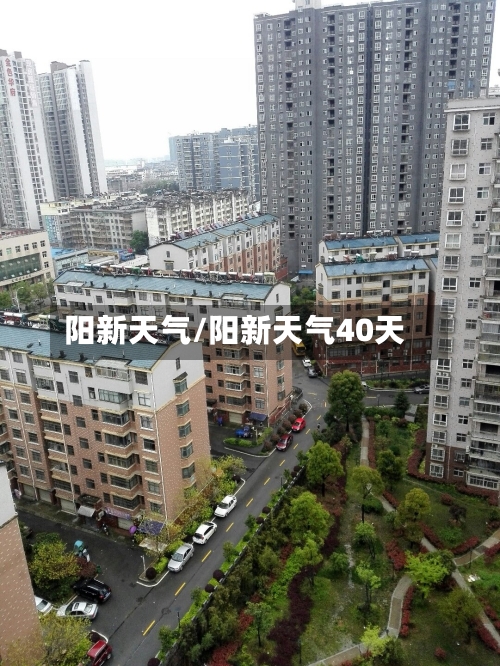 阳新天气/阳新天气40天-第1张图片