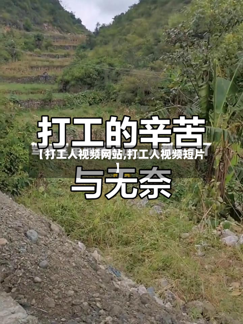 【打工人视频网站,打工人视频短片】-第1张图片