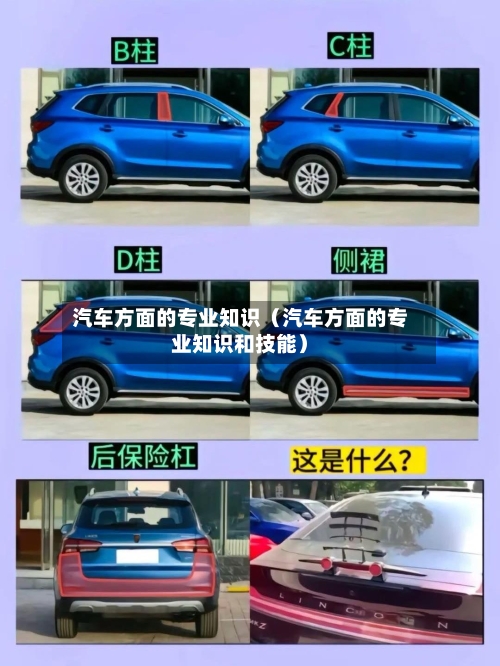 汽车方面的专业知识（汽车方面的专业知识和技能）-第1张图片