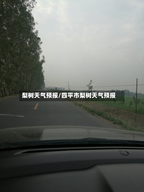 梨树天气预报/四平市梨树天气预报-第1张图片