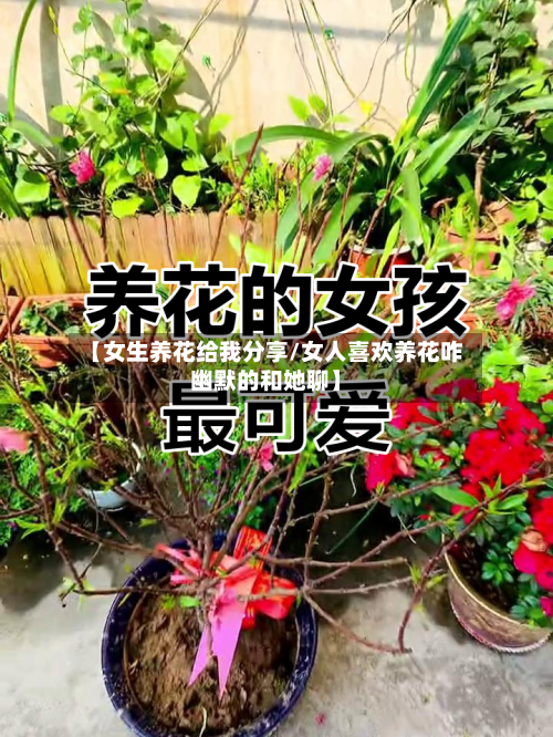 【女生养花给我分享/女人喜欢养花咋幽默的和她聊】-第1张图片