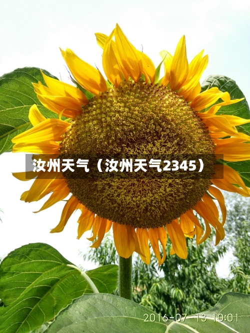 汝州天气（汝州天气2345）-第1张图片