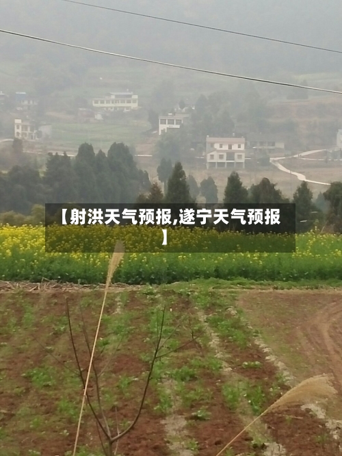【射洪天气预报,遂宁天气预报】-第1张图片