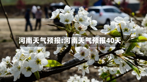 河南天气预报:河南天气预报40天-第1张图片