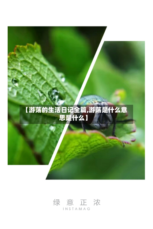 【游荡的生活日记全篇,游荡是什么意思是什么】-第1张图片