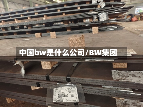 中国bw是什么公司/BW集团-第1张图片
