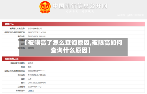 【被限高了怎么查询原因,被限高如何查询什么原因】-第1张图片
