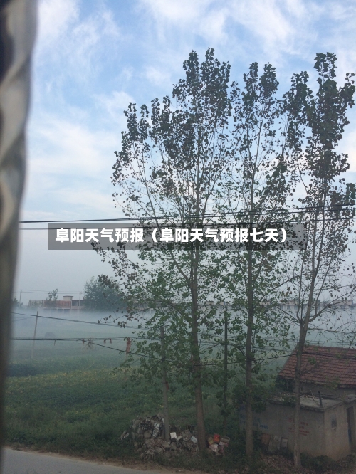 阜阳天气预报(阜阳天气预报七天)-第1张图片