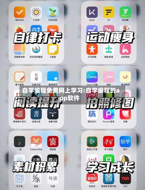 自学编程免费网上学习:自学编程的app软件-第1张图片